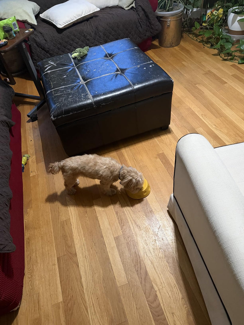 Finally eats at a normal speed