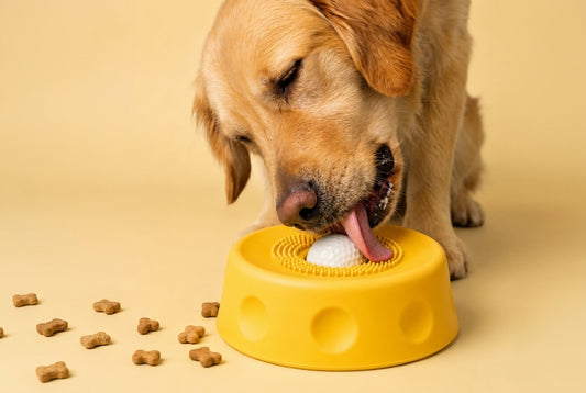 TheraPaw Enrichment Bowl